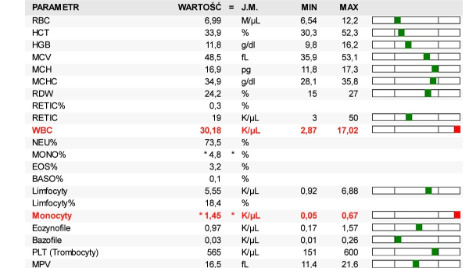 Zdjęcie aktualizacji 187 273
