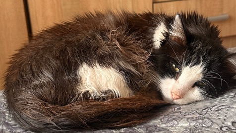 Zdjęcie aktualizacji 187 551