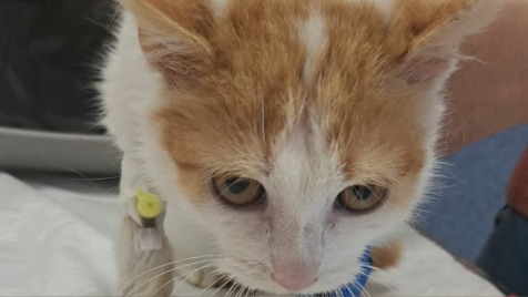 Zdjęcie aktualizacji 187 653