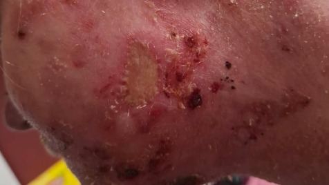 Zdjęcie aktualizacji 187 657