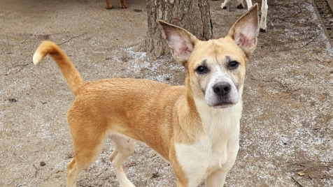 Zdjęcie aktualizacji 187 674