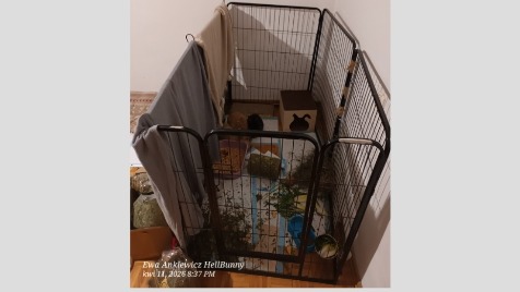 Zdjęcie aktualizacji 187 700