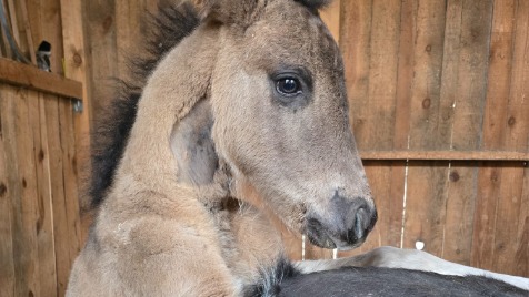 Zdjęcie aktualizacji 187 793