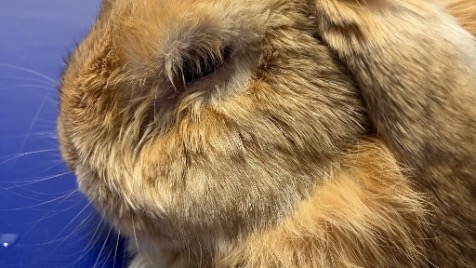 Zdjęcie aktualizacji 187 820