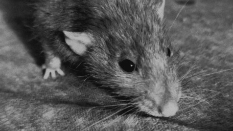 Zdjęcie aktualizacji 187 996