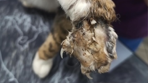 Zdjęcie aktualizacji 188 070