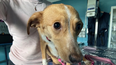 Zdjęcie aktualizacji 188 133