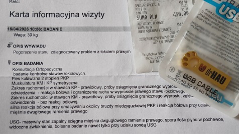 Zdjęcie aktualizacji 188 139