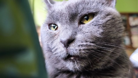 Zdjęcie aktualizacji 188 147