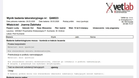 Zdjęcie aktualizacji 188 207