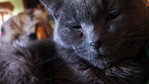 Zdjęcie aktualizacji 188 258