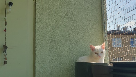 Zdjęcie aktualizacji 188 280