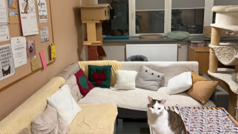 Zdjęcie aktualizacji 188 334