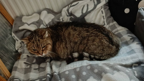 Zdjęcie aktualizacji 188 339