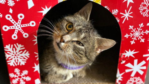 Zdjęcie aktualizacji 188 341