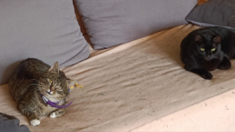 Zdjęcie aktualizacji 188 342