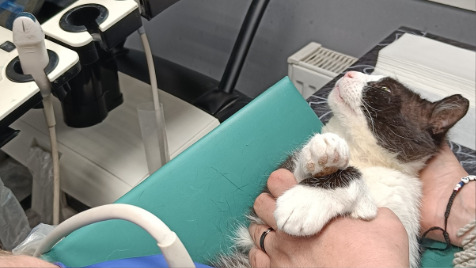 Zdjęcie aktualizacji 188 343