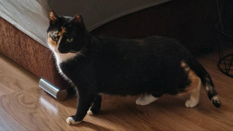 Zdjęcie aktualizacji 188 344