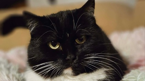 Zdjęcie aktualizacji 188 351