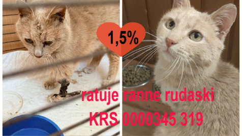 Zdjęcie aktualizacji 188 362