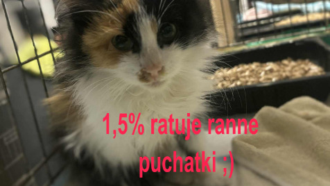 Zdjęcie aktualizacji 188 368