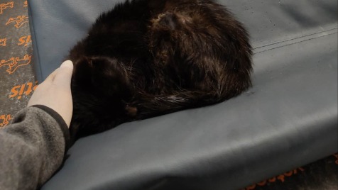 Zdjęcie aktualizacji 188 432