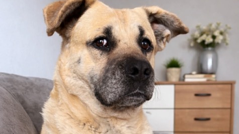 Zdjęcie aktualizacji 188 433