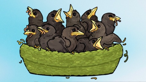 Zdjęcie aktualizacji 188 447