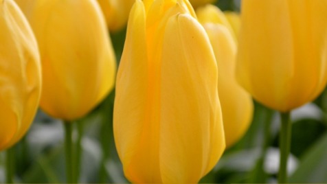 Zdjęcie aktualizacji 188 461