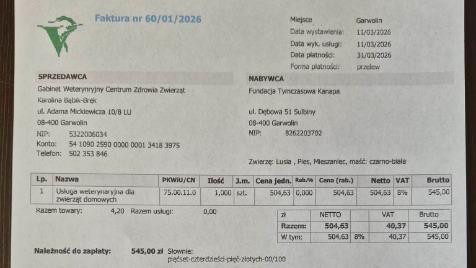 Zdjęcie aktualizacji 188 646