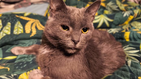 Zdjęcie aktualizacji 188 777