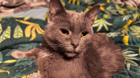 Zdjęcie aktualizacji 188 778