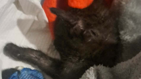 Zdjęcie aktualizacji 188 836