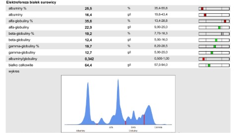 Zdjęcie aktualizacji 188 928