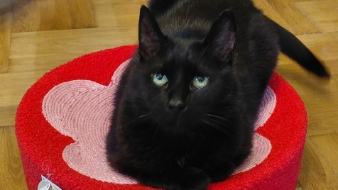 Zdjęcie aktualizacji 188 952