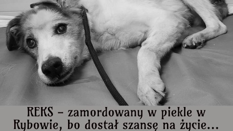 Zdjęcie aktualizacji 188 956