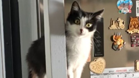 Zdjęcie aktualizacji 189 117