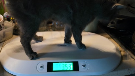 Zdjęcie aktualizacji 191 590