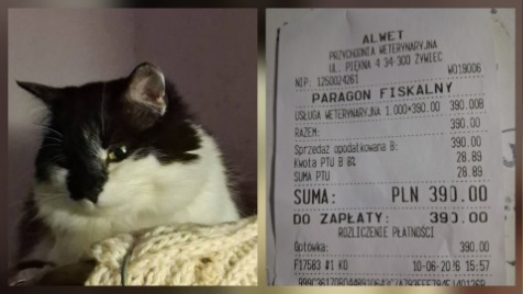 Zdjęcie aktualizacji 192 127