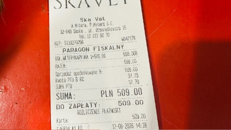 Zdjęcie aktualizacji 192 289