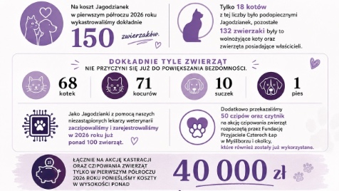 Zdjęcie aktualizacji 193 157