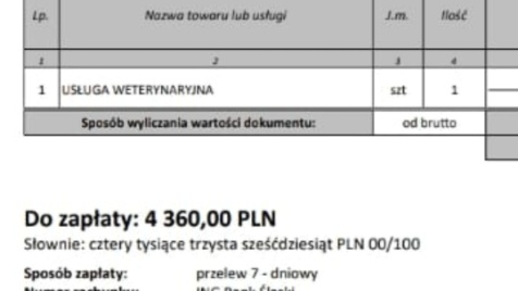 Zdjęcie aktualizacji 193 351