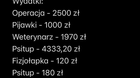 Zdjęcie aktualizacji 193 900