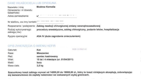 Zdjęcie aktualizacji 196 654