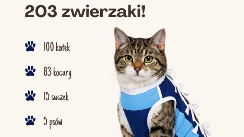 Zdjęcie aktualizacji 196 998