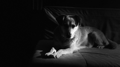 Zdjęcie aktualizacji 198 902