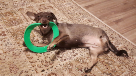 Zdjęcie aktualizacji 24 734