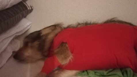 Zdjęcie aktualizacji 26 181