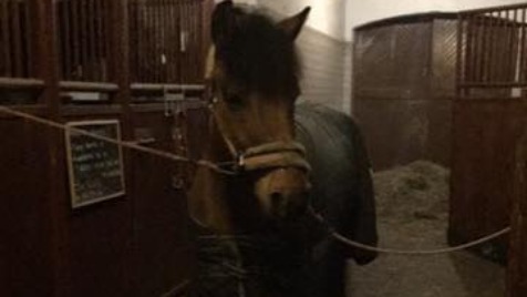 Zdjęcie aktualizacji 28 824