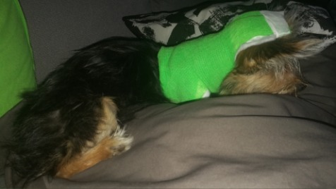 Zdjęcie aktualizacji 31 713